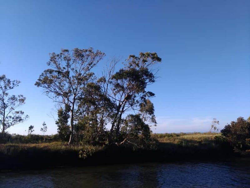 Industry or Nature Boat Tour | Speedboat - The open waters of Aveiro Lagoon