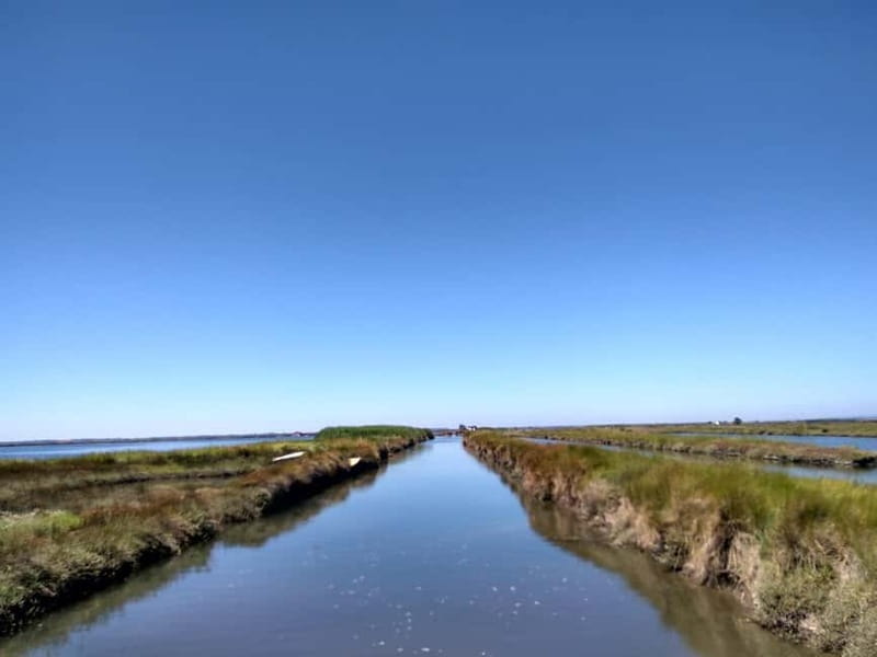 Industry or Nature Boat Tour | Speedboat - Through the floodgates of Aveiro