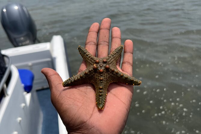 Island Escape day trip Speedboat Excursion in Maputo - My booking advice
