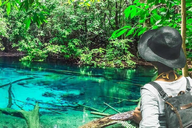 James Bond Island Sightseeing or Canoeing by Speedboat from Krabi - Hong Island and its mangrove setting