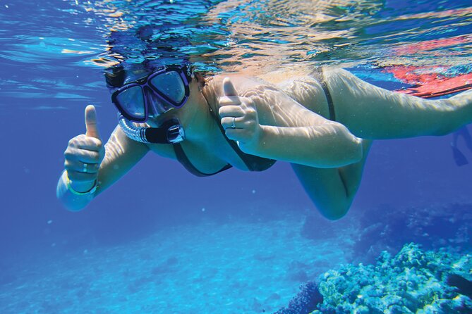 Jet Boat Excursion in South West Coast of Mallorca - Who will enjoy Blade Runner most?