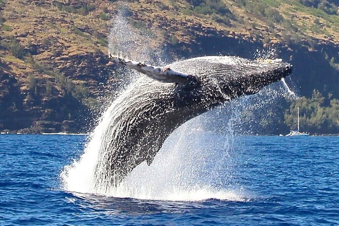 Kauai: Nā Pali Coast Zodiac Raft Expedition and Snorkeling - Captains, stories, snacks, and service