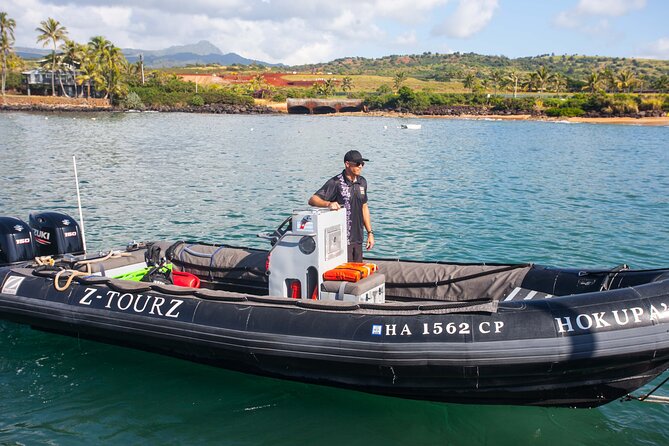 Kauai's South Side Whale and Dolphin Zodiac Boat Adventure - What happens along the South Shore