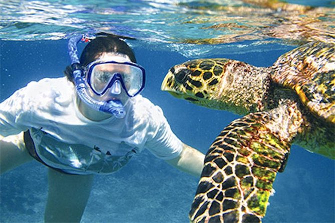 Kauai's Ultimate South Island Zodiac Boat Snorkel Adventure - Spouting Horn gives the cruise a sense of place