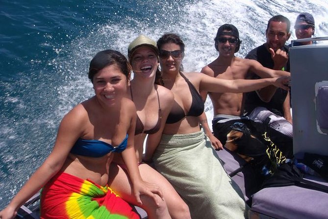 Kauai's Ultimate South Island Zodiac Boat Snorkel Adventure - The marine life you might see