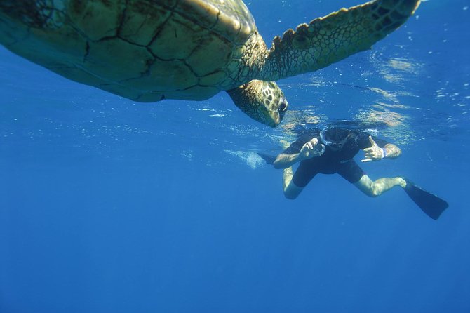 Kauai's Ultimate South Island Zodiac Boat Snorkel Adventure - What the $161.43 price buys you