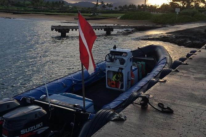 Kauai's Ultimate South Island Zodiac Boat Snorkel Adventure - Who should book this south shore adventure