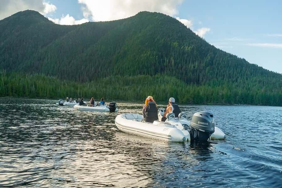 Ketchikan: Scenic Drive & George Inlet Fjords Zodiac Cruise - Taking the Zodiac into George Inlet Fjords