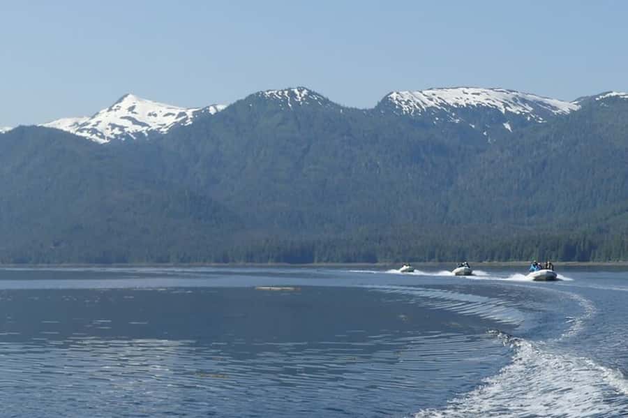 Ketchikan: Scenic Drive & George Inlet Fjords Zodiac Cruise - Wildlife Watching Without Promises