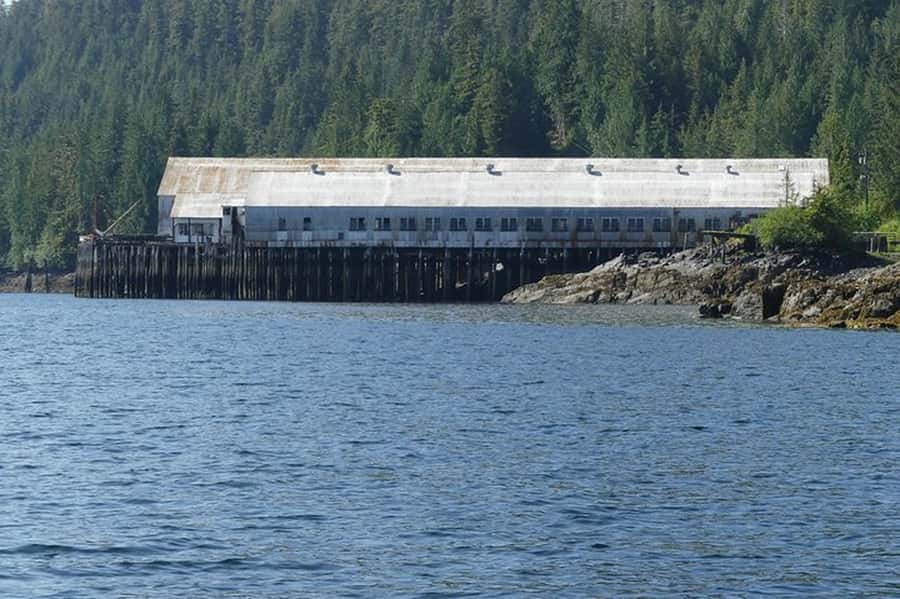 Ketchikan: Scenic Drive & George Inlet Fjords Zodiac Cruise - Is $240 a Fair Price?