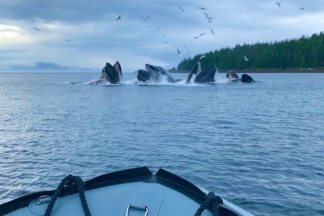 Ketchikan Zodiac Boat Adventure - From Ketchikan streets to the launch point
