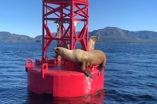 Ketchikan Zodiac Boat Adventure - Saxman Native Village and local context