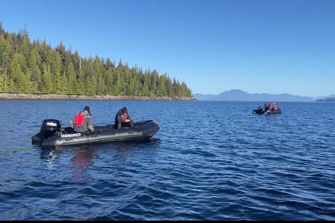Ketchikan Zodiac Boat Adventure - The Inside Passage by small boat