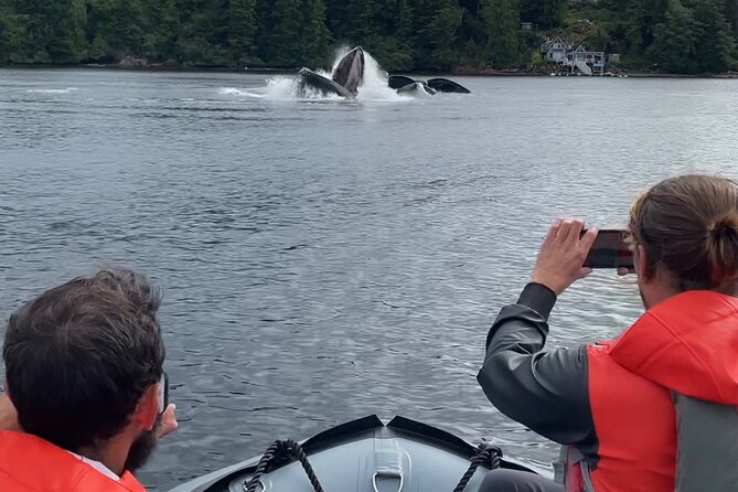 Ketchikan Zodiac Boat Adventure - The return to Salmon Falls Lodge