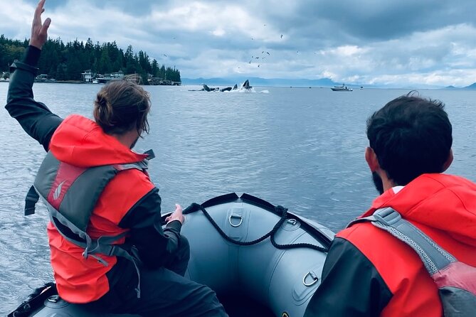 Ketchikan Zodiac Boat Adventure - Creek Street and the route out of town