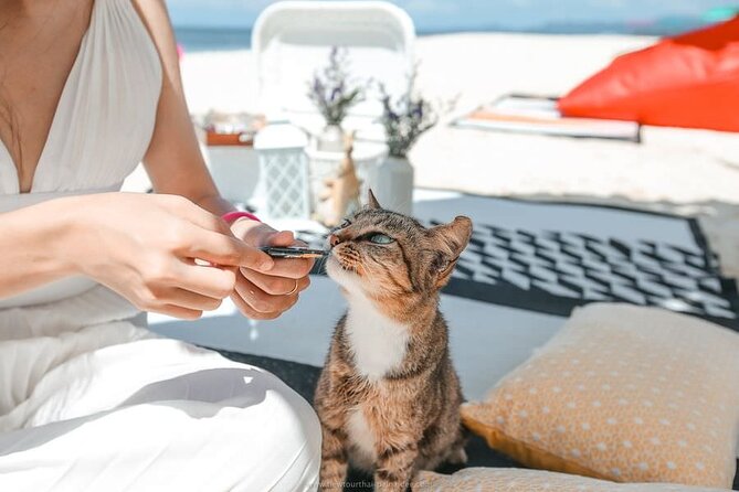 Khai Island Speedboat: Island Hopper Trip - Khai Nai: cats, photos, and a slower finish