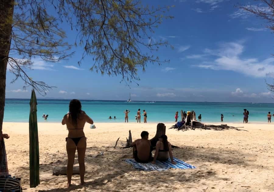 Khao Lak: Phi Phi & Bamboo Island Day Trip by Speedboat - Monkey Beach is a boat-side wildlife stop