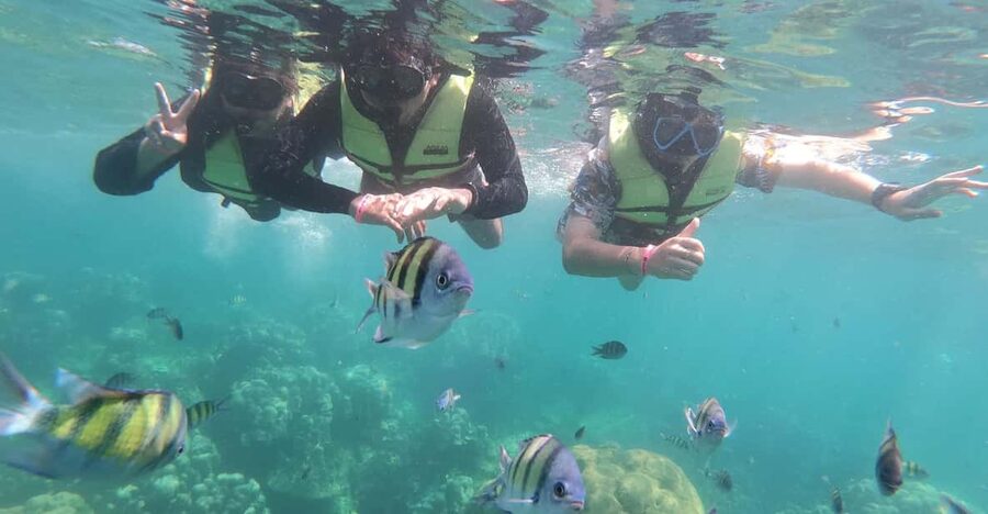 Ko Lanta: 4 Islands and Emerald Cave Day Tour by Speedboat - Who should book this island day