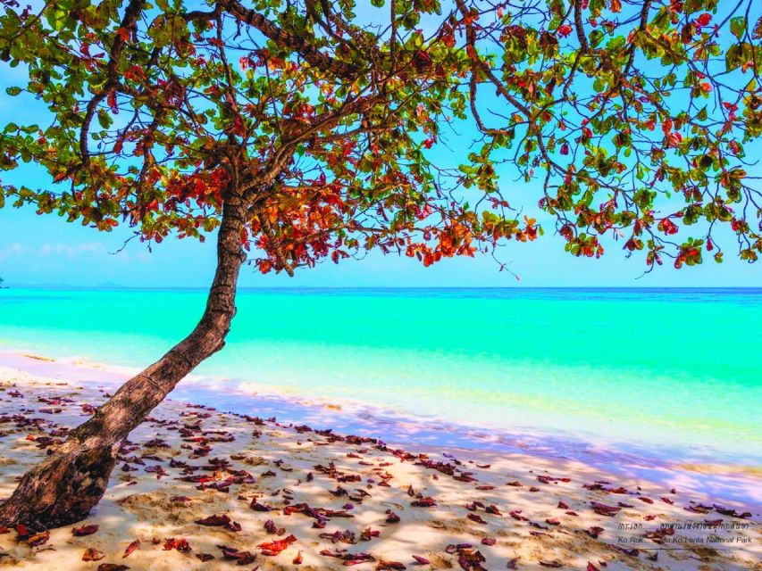 Ko Lanta: Koh Rok & Koh Haa Snorkelling Tour by Speedboat - Key points to know before booking