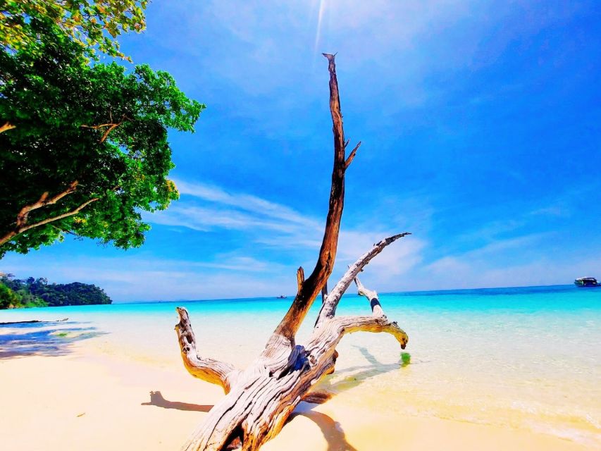 Ko Lanta: Koh Rok & Koh Haa Snorkelling Tour by Speedboat - Setting out from Koh Lanta at 9:00 AM