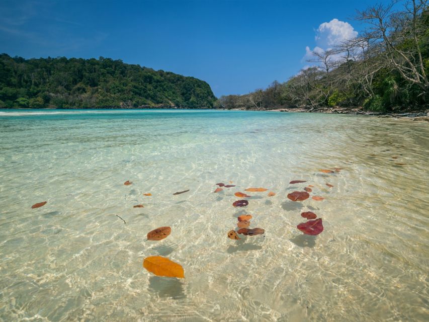Ko Lanta: Koh Rok & Koh Haa Snorkelling Tour by Speedboat - White sand, monitor lizards, and lunchtime on Koh Rok