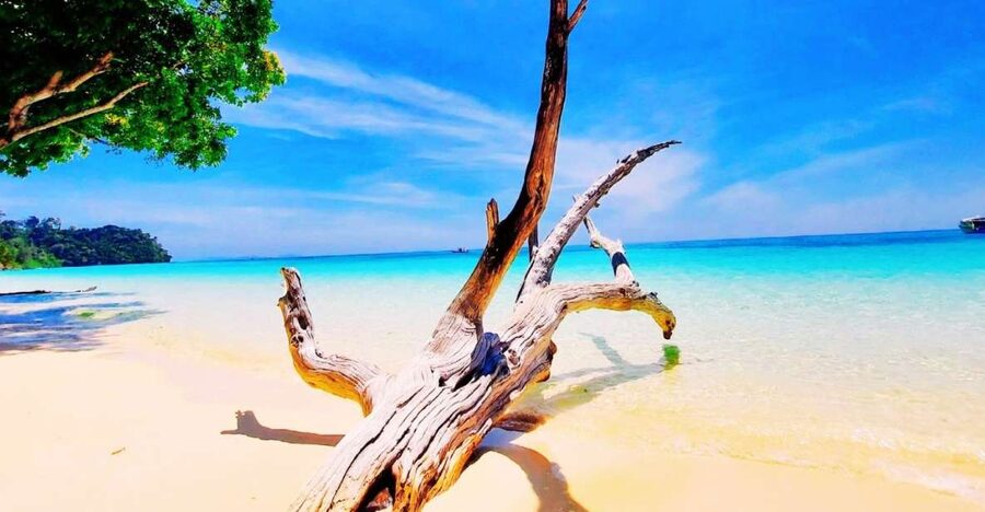 Ko Lanta: Koh Rok & Koh Haa Snorkelling Tour by Speedboat - Koh Haa’s clear water and soft coral