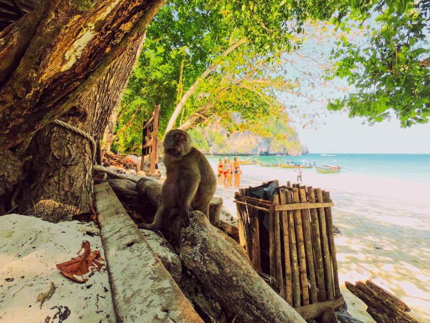 Ko Lanta: Phi Phi Day Trip by Speed Boat - Maya Bay and the reality of a famous beach