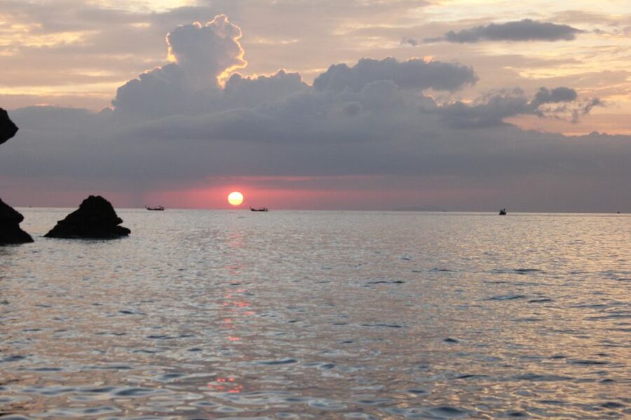 Ko Phi Phi Don: Speedboat Day Trip with Shark Snorkeling - A second snorkeling stop looks for turtles