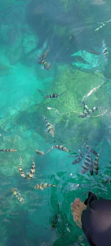 Ko Samui: Angthong National Marine Park by Speedboat - What the $107 price includes