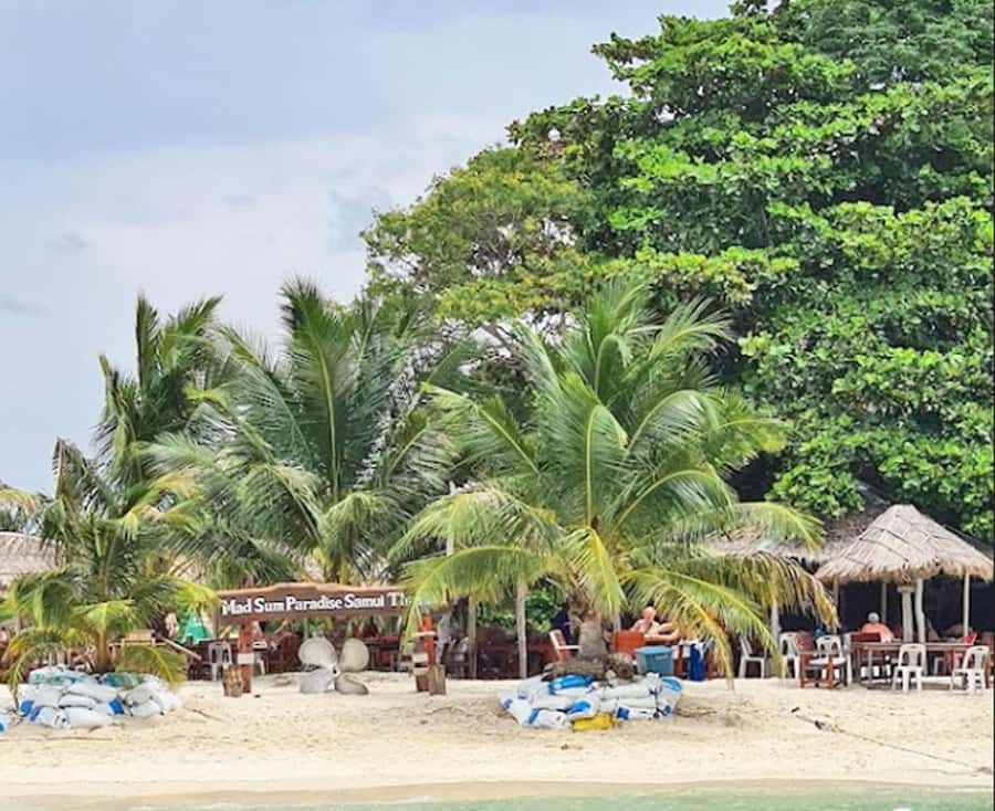 Ko Samui: Pig Island Snorkeling and Koh Tan Speedboat Tour - Pickup from your hotel in southern Koh Samui