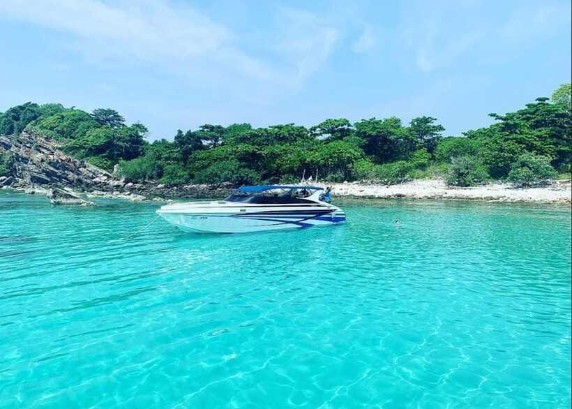 Ko Samui: Pig Island Snorkeling and Koh Tan Speedboat Tour - Morning or afternoon departure?
