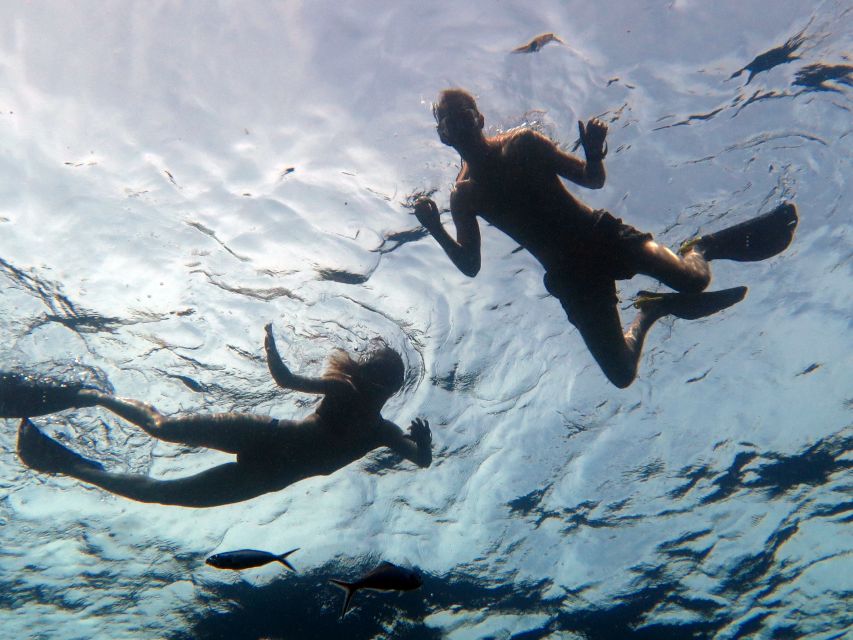 Koh Chang: Half-Day Snorkeling Adventure on a Speedboat - Who should book this Koh Chang snorkeling trip?