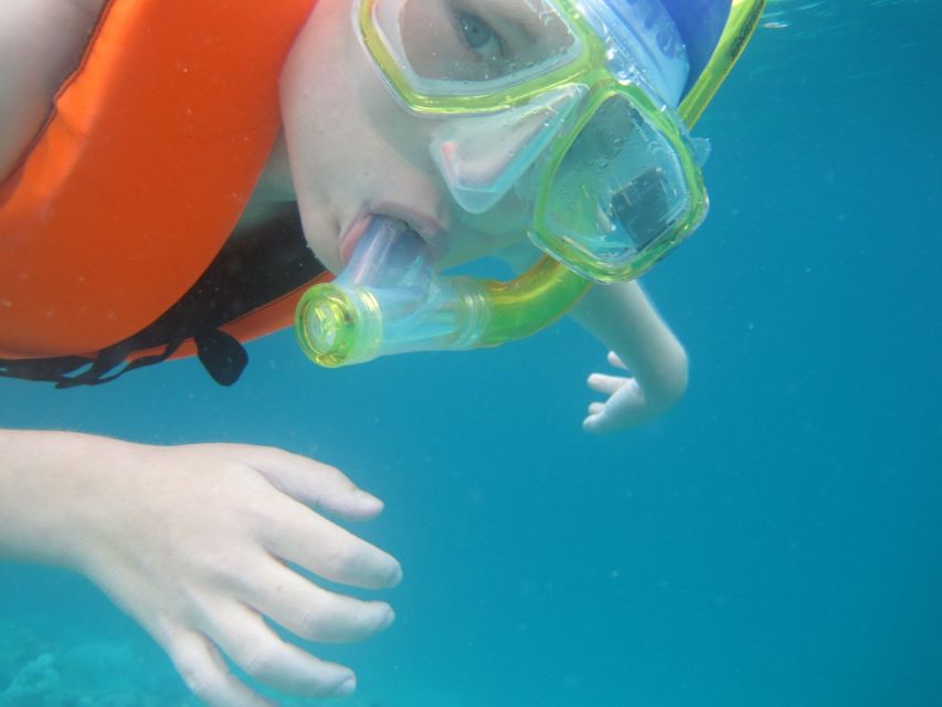 Koh Chang: Half-Day Snorkeling Adventure on a Speedboat - Families, beginners, and comfort concerns