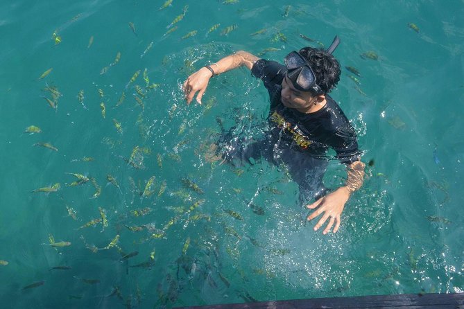 Koh Lanta: 4 Islands Tour by Speedboat with Snorkeling - Koh Kradan for lunch, beach time, and reef snorkeling