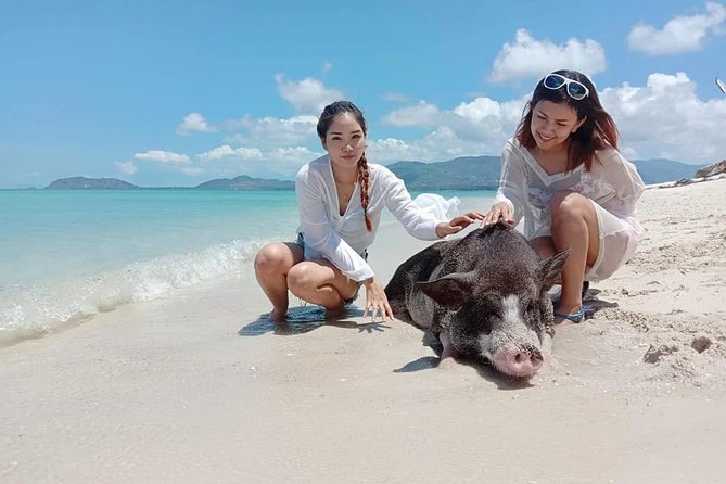 Koh Madsum and Koh Tan Snorkeling Trip By Speedboat From Koh Samui - The morning schedule from hotel to sea