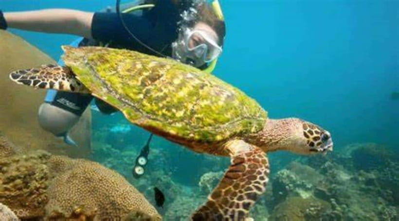 Koh Phangan: Angthong National Park Speedboat Tour - What the $98 price really covers