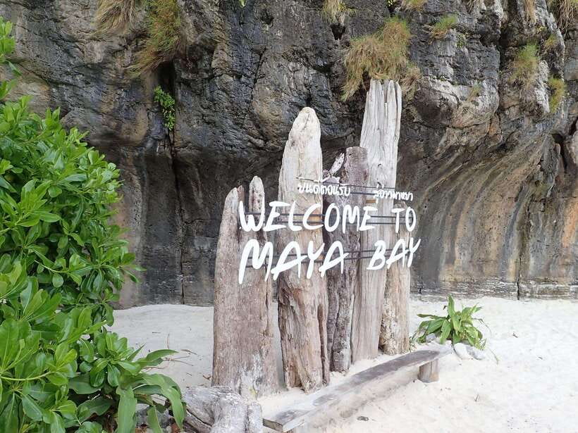 Koh Phi Phi: Early Morning Maya Bay, Bamboo Speedboat Tour - Viking Cave and Monkey Beach