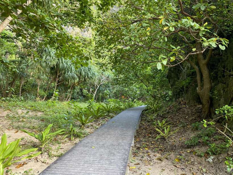 Koh Phi Phi: Early Morning Maya Bay, Bamboo Speedboat Tour - Is Bamboo Island worth the extra hours?