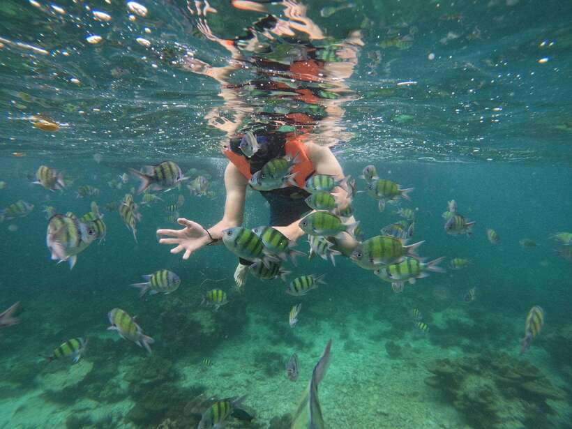 Koh Phi Phi: Early Morning Maya Bay, Bamboo Speedboat Tour - What the $57 price really covers
