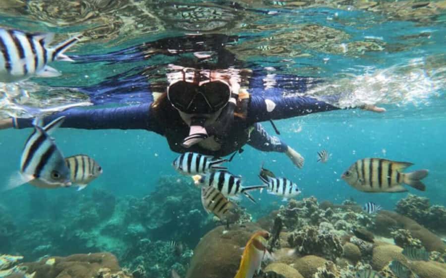 Koh Samui: Ang Thong Marine Park Day Tour by Speedboat - Ang Thong’s 42 islands from the speedboat