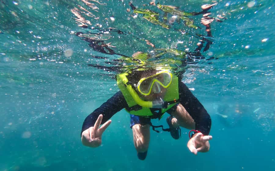 Koh Samui: Ang Thong Marine Park Day Tour by Speedboat - Who should book this day trip?