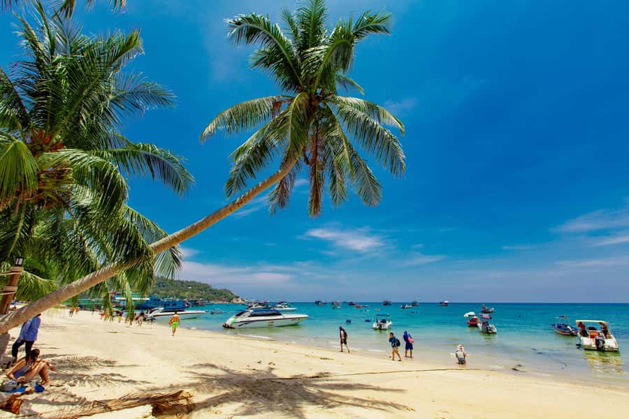 Koh Samui: Ko Tao & Nang Yuan Premium Tour Lunch & Transfer - What the $61 price really covers