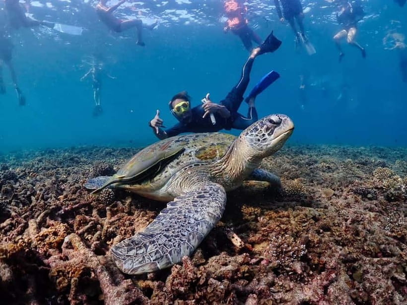 Koh Samui: Koh Tao and Koh Nang Yuan Speedboat Join Tour - Morning snorkeling at Koh Tao