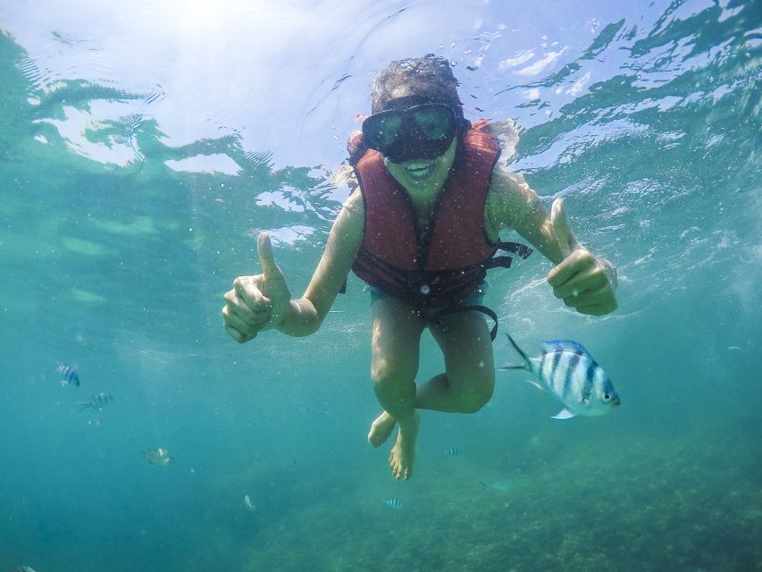 Koh Samui: Pig Island & Koh Tan Snorkeling by Speed boat - Key points to know before you book