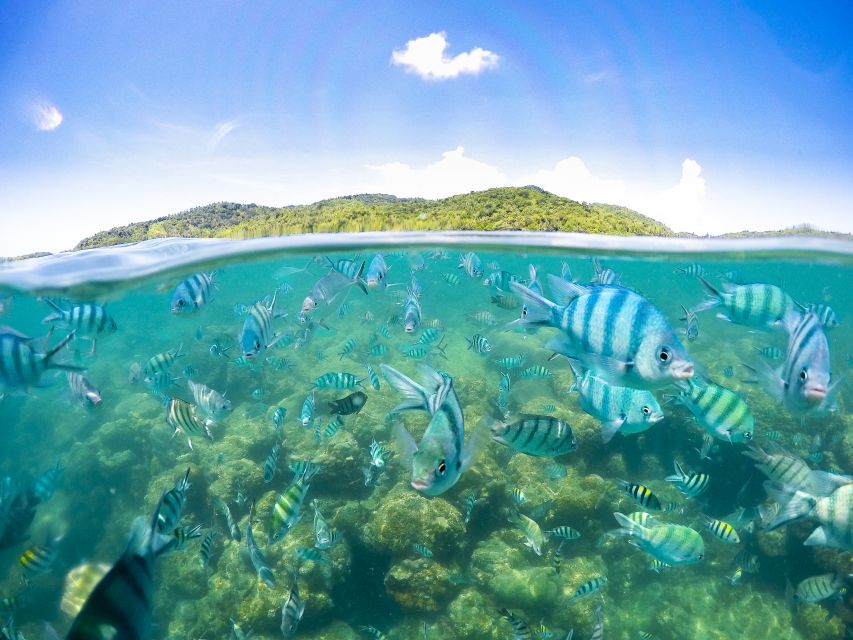 Koh Samui: Pig Island & Koh Tan Snorkeling by Speed boat - Why Pig Island makes this tour different