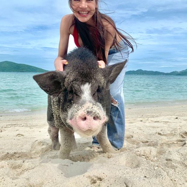 Koh Samui: Pig Island & Koh Tan Snorkeling by Speed boat - Who should book this island trip?