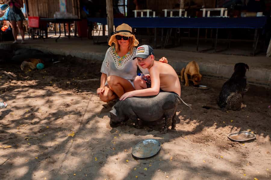 Koh Samui: Pig Island & Koh Tan Speedboat Tour with Lunch - Booking tips that save trouble