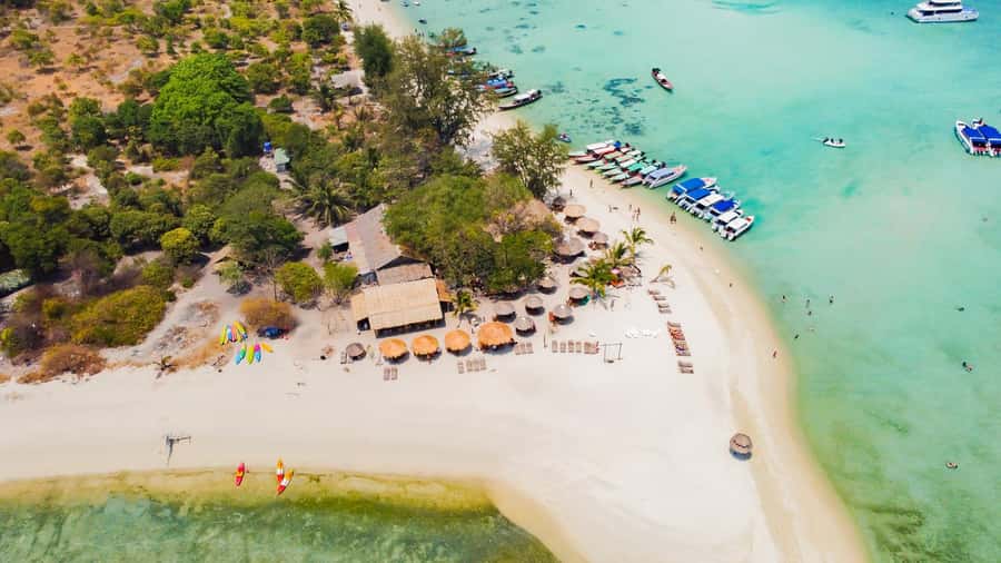 Koh Samui: Pig Island & Koh Tan Speedboat Tour with Lunch - Meeting the pigs on Koh Madsum