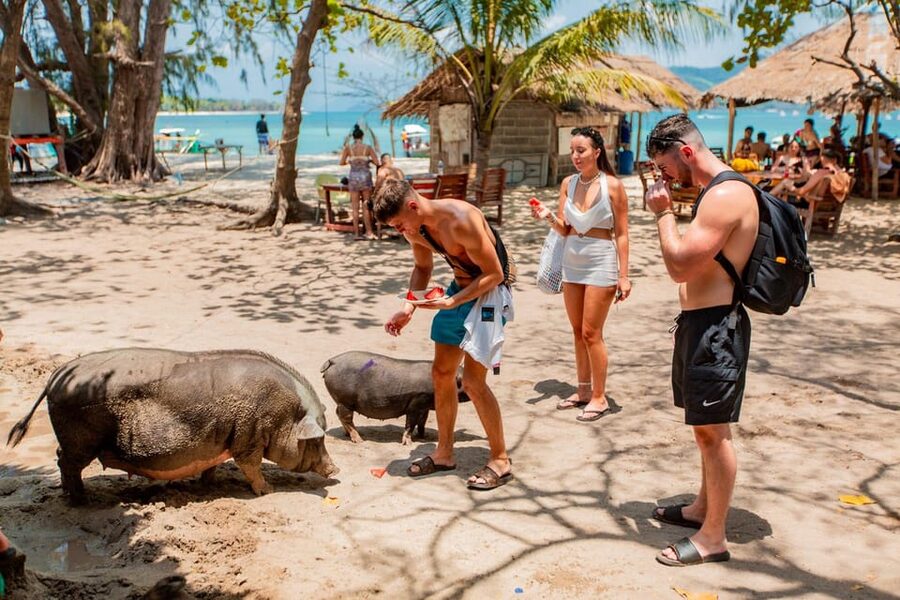 Koh Samui: Pig Island & Koh Tan Speedboat Tour with Lunch - What $47 really covers