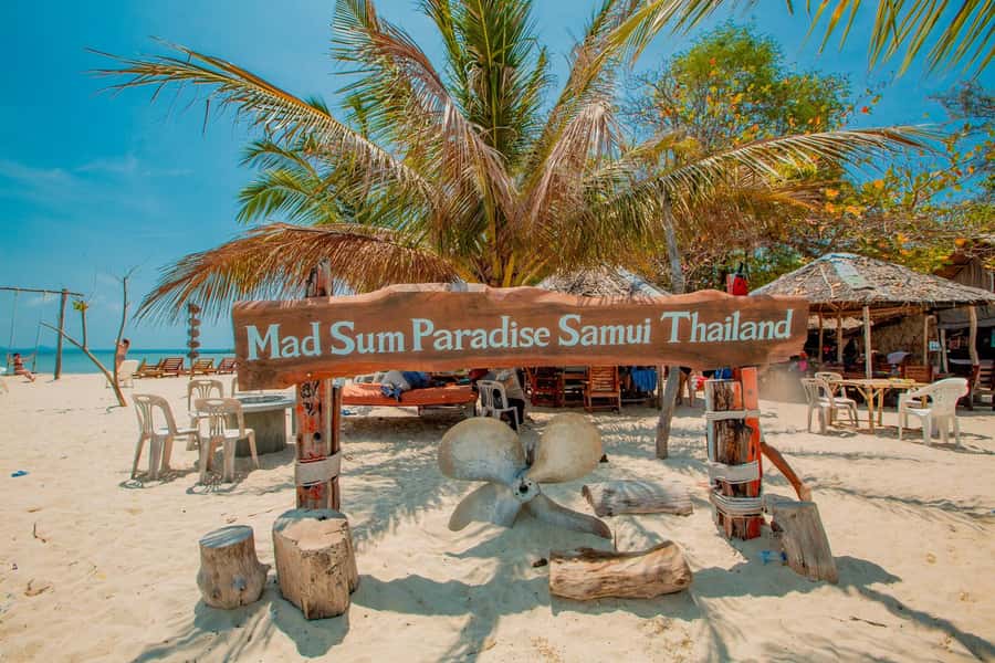 Koh Samui: Pig Island & Koh Tan Speedboat Tour with Lunch - Who will enjoy this half-day outing